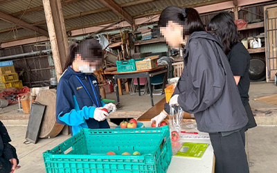 年齢の違う子供たちの活動の画像
